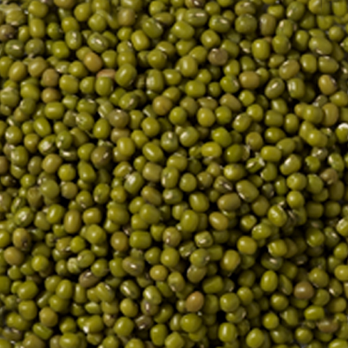Green Lentils Whole